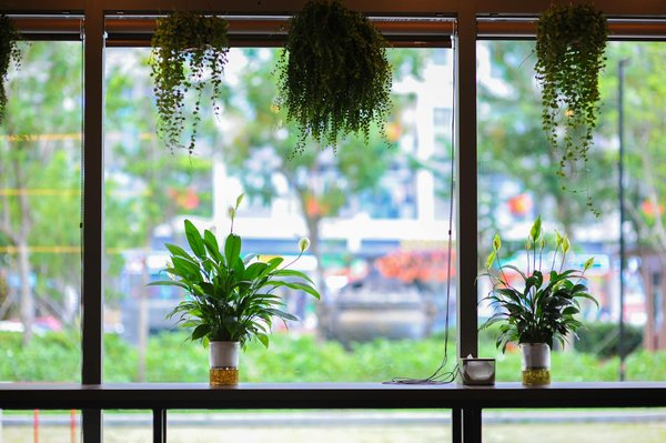 La préservation des forêts : un impératif pour la survie de notre planète